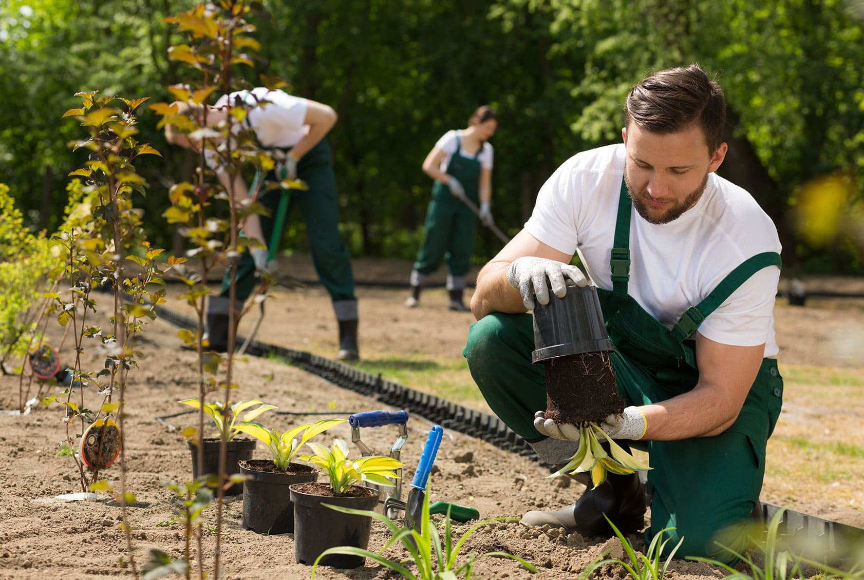ForstgartenarbeiterIn (m/w/d)